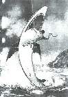 Version requin [jpg, 19 ko]